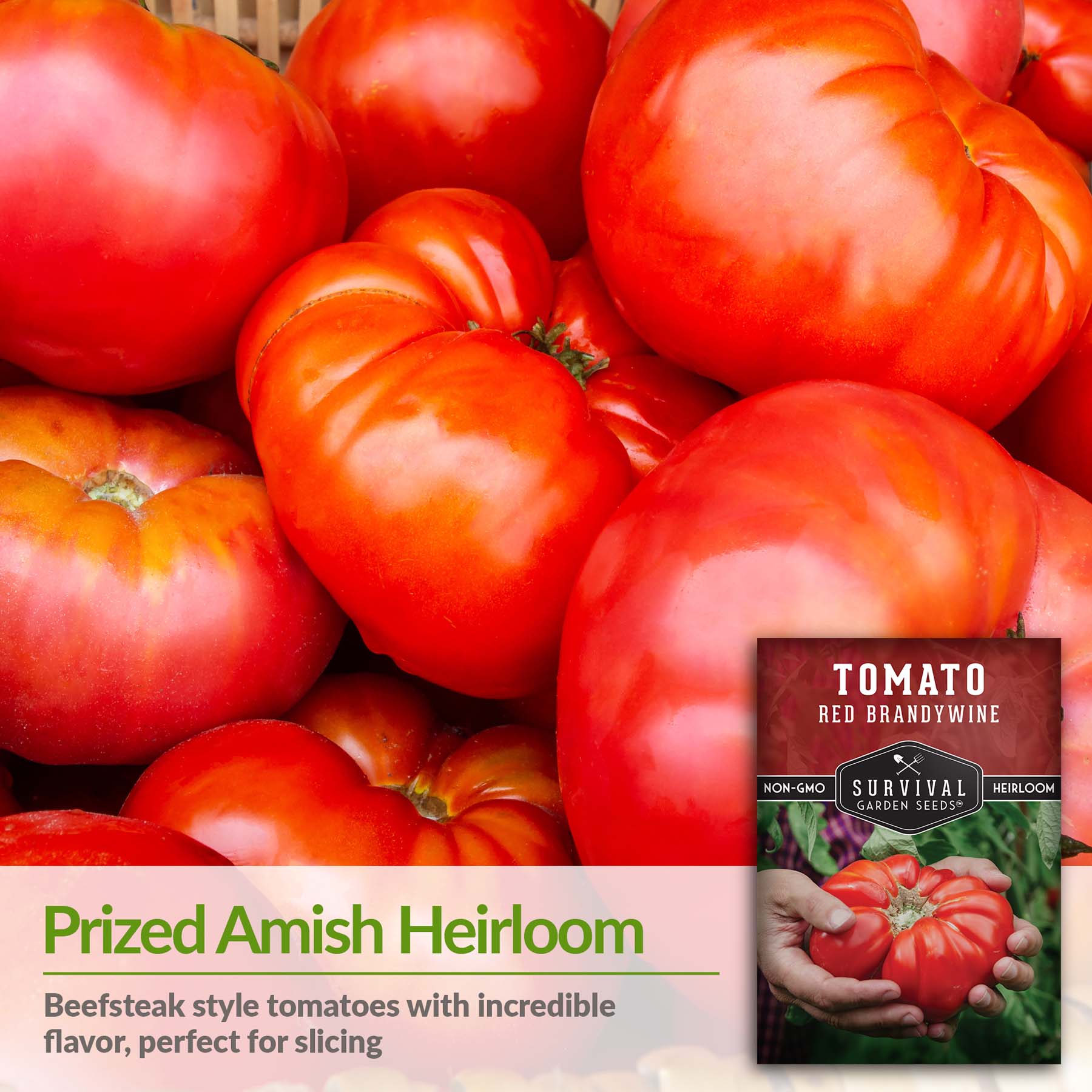 Red Brandywine – Heirloom Beefsteak Seeds – SurvivalGardenSeeds