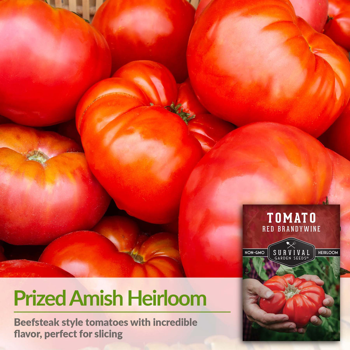 Brandywine Red is an Amish heirloom tomato variety