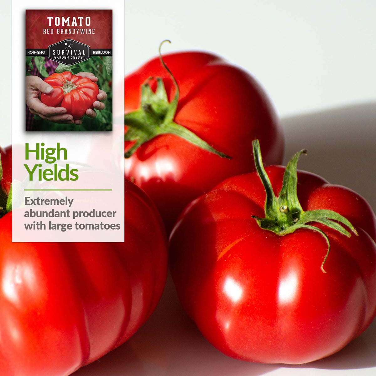 Brandywine Red tomato plants are an extremely abundant producer with large tomatoes