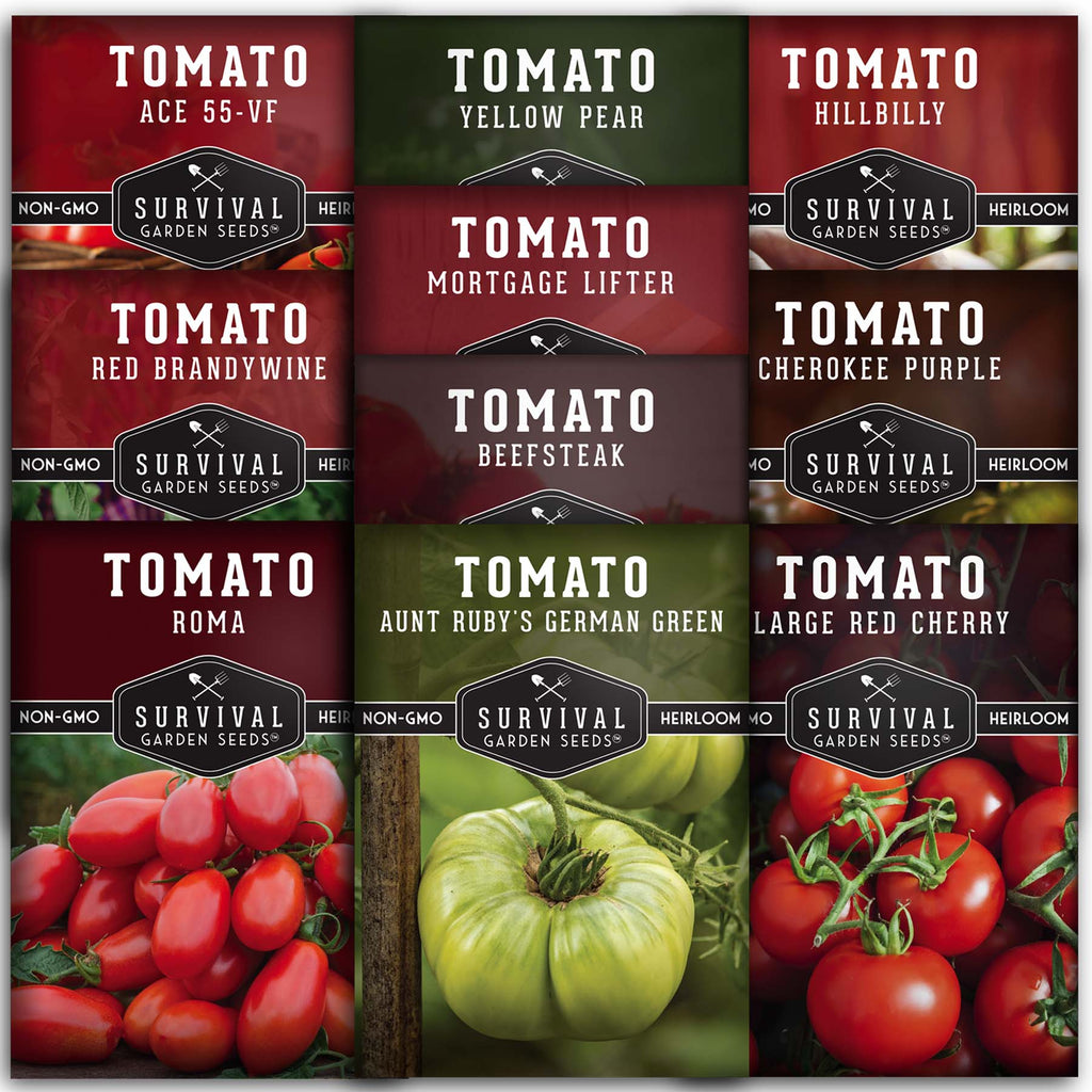 10 Tomato Collection - Cherokee Purple, Roma, Red Cherry, Aunt Ruby's Green, Hillbilly, Yellow Pear, Mortgage Lifter, Red Brandywine, Ace 55