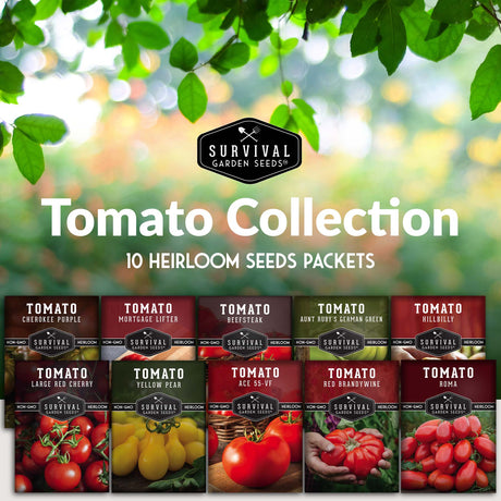 10 Tomato Collection