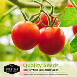Non-hybrid heirloom tomato seeds
