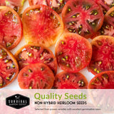 Non-hybrid heirloom tomato seeds