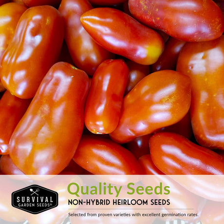 quality heirloom tomato seeds