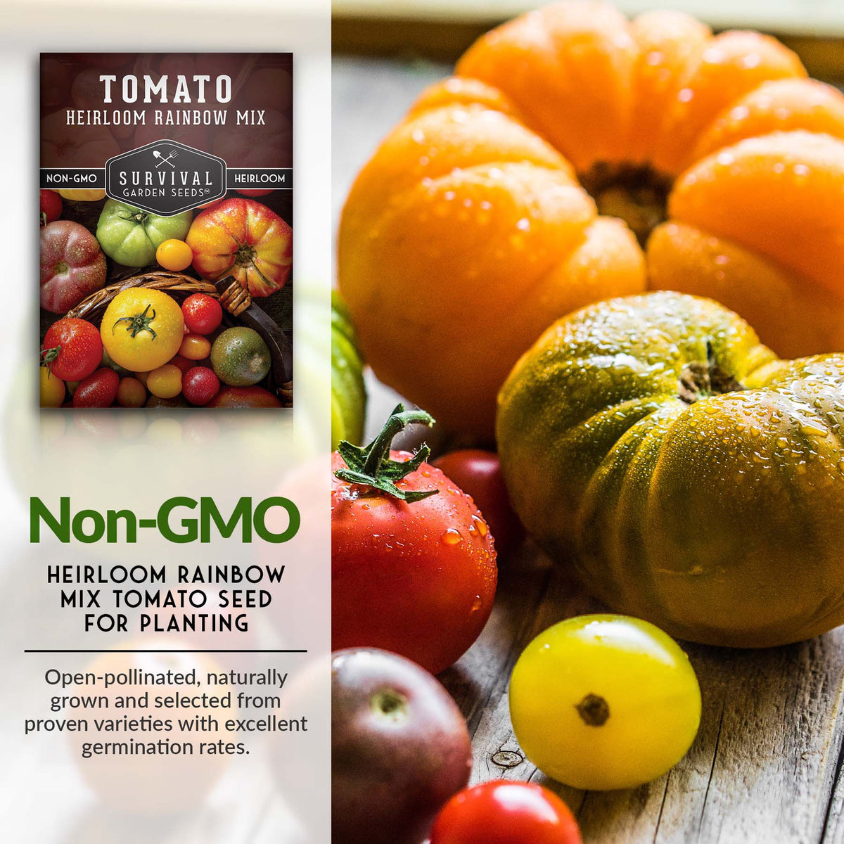 Heirloom rainbow mix tomato seeds are non-GMO