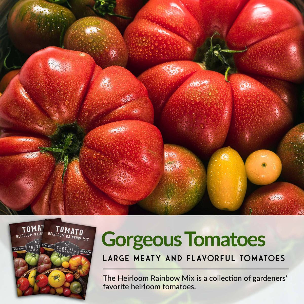 Heirloom tomatoes are large, meaty and flavorful