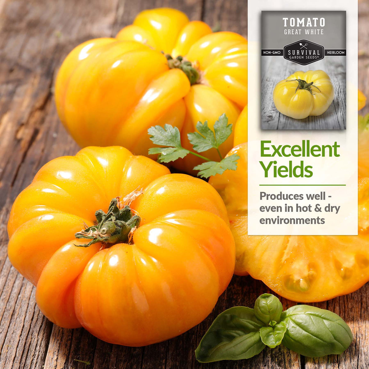 Great White Tomatoes grow well in hot and dry environments