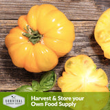 Harvest and store your own food supply