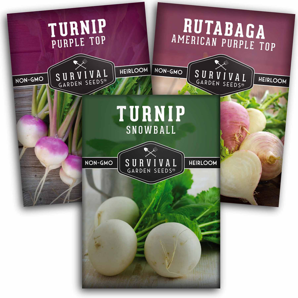 Turnip Seed Collection - 3 Tasty Root Vegetables