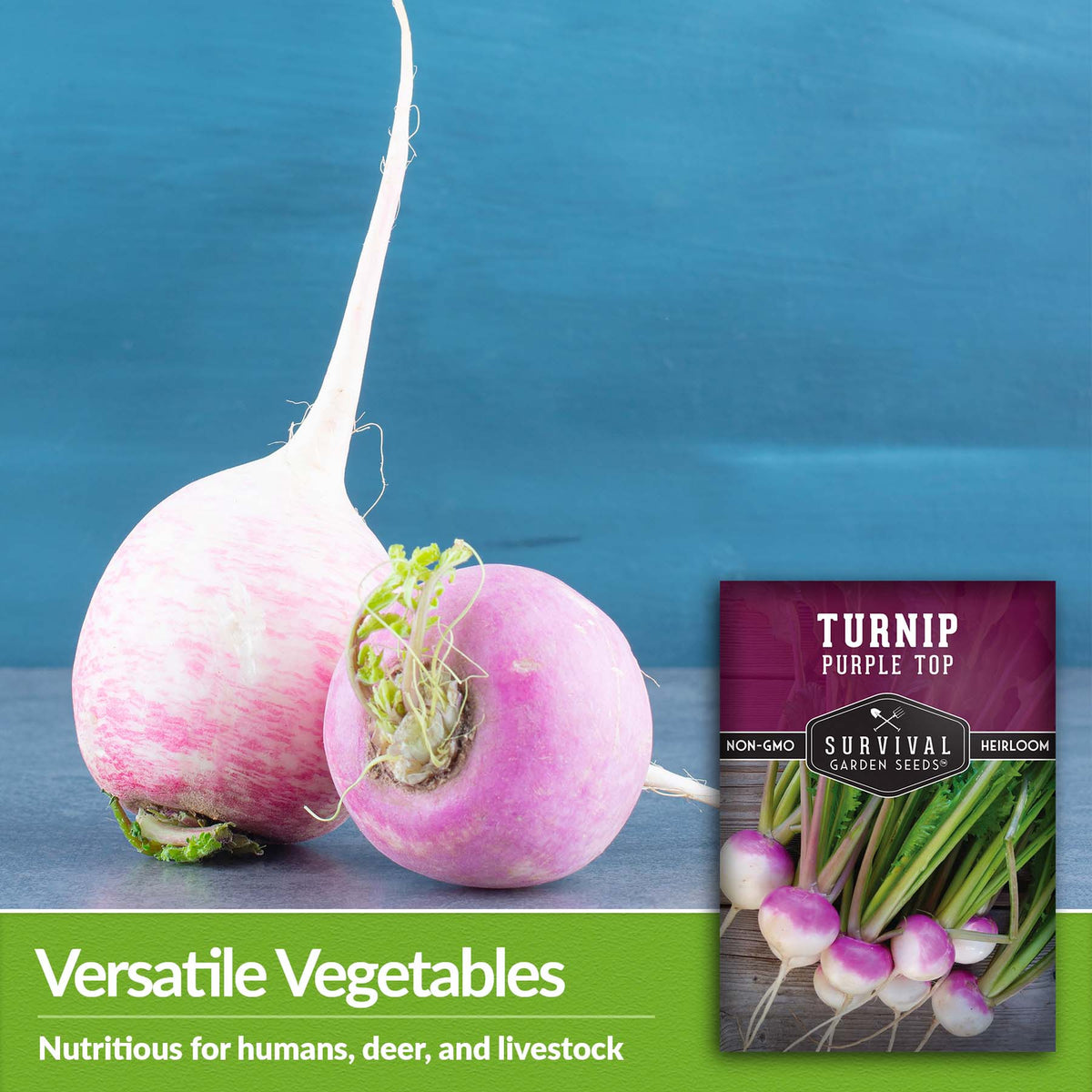 Purple top turnips are nutritious for humans, deer and livestock