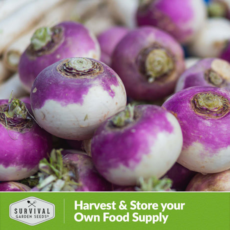 Harvest and store your own food supply