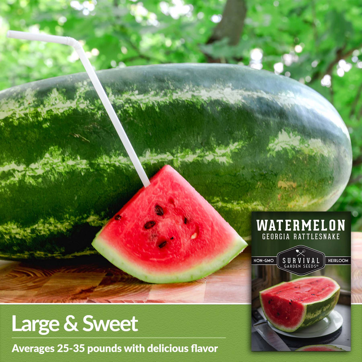 Georgia Rattlesnake Watermelons are large and sweet