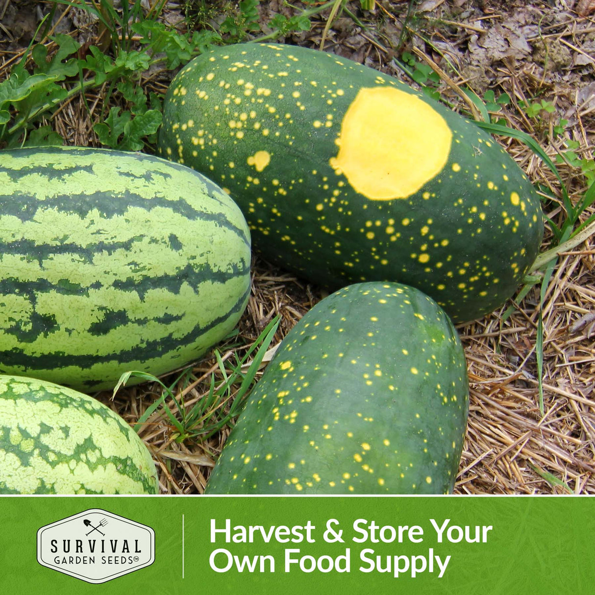 Harvest and store your own food supply