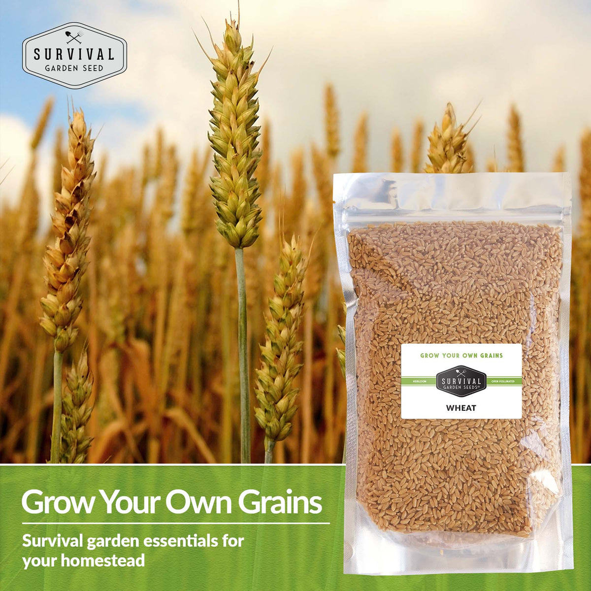 Wheat seed lets you grow your own grains