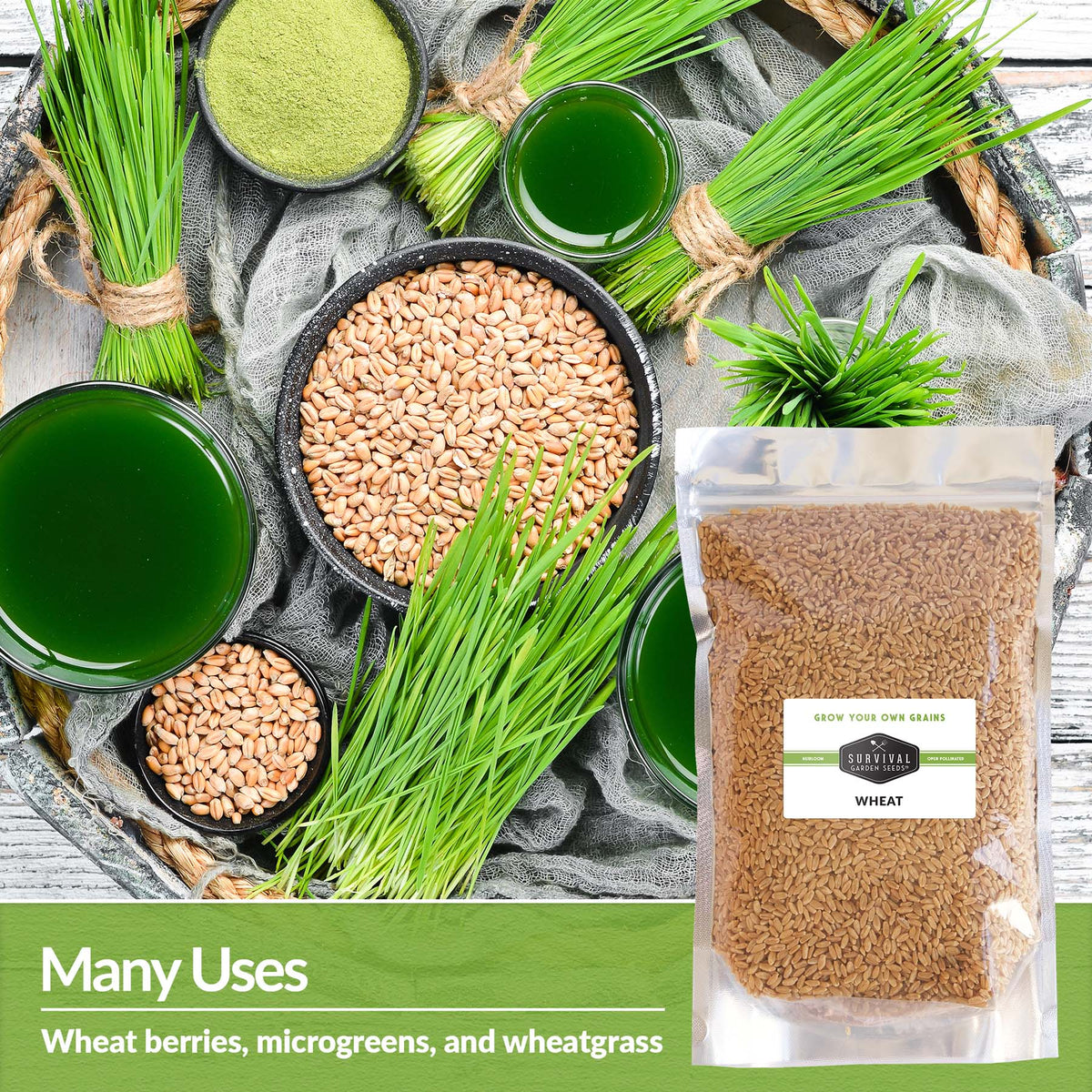 Wheat has many uses - wheat berries, microgreens and wheatgrass