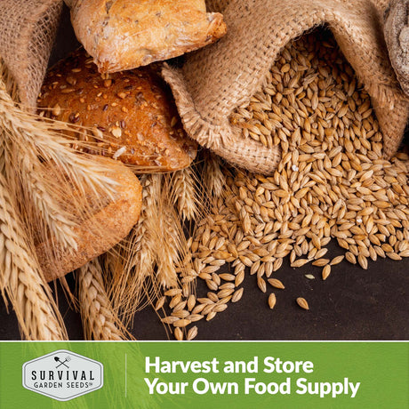 Harvest and store your own food supply