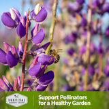 Support pollinators for a healthy garden