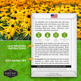 Perennial wildflower seed planting instructions