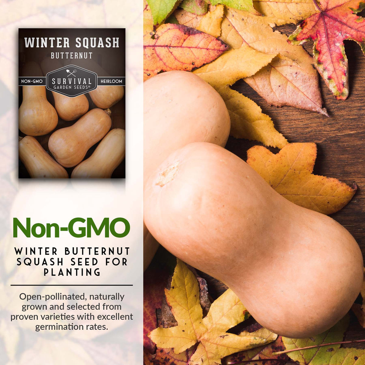 Non-GMO heirloom butternut squash seeds