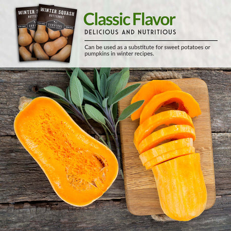 Enjoy the classic flavor of butternut squash