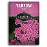 Red Yarrow Seeds for planting