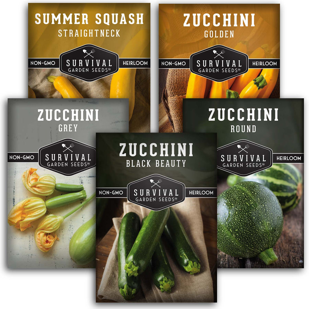Zucchini & Squash Collection - Golden, Round, Black Beauty, Straight Neck Summer Squash