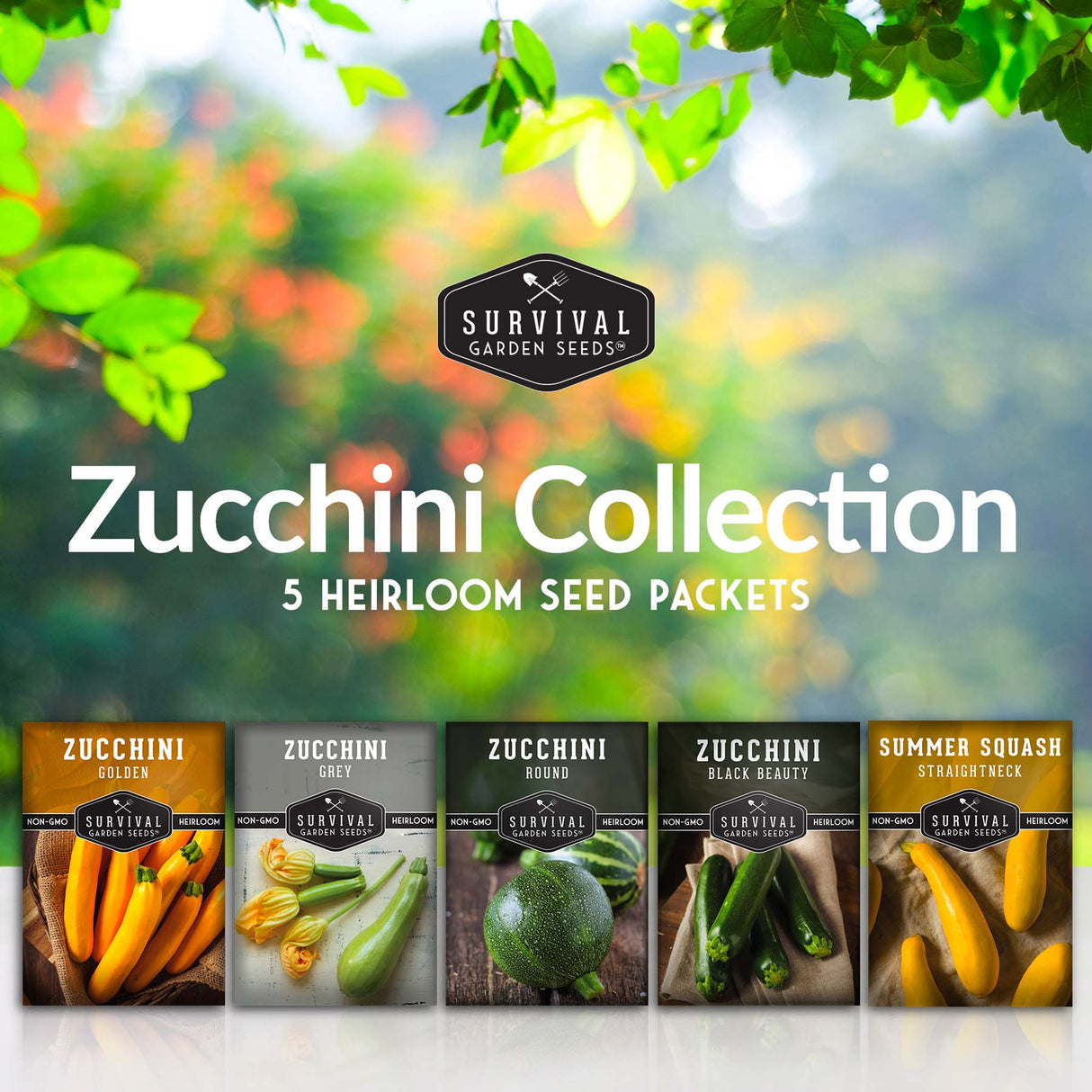 5 heirloom zucchini and squash vegetable seed packets