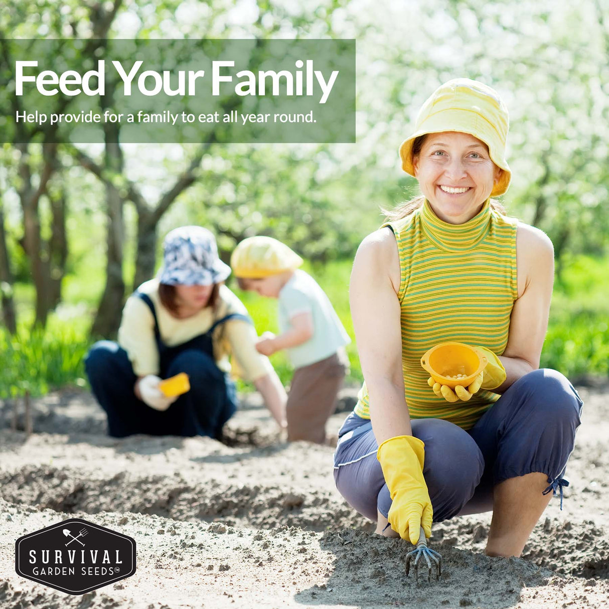 Feed your family by growing your own food