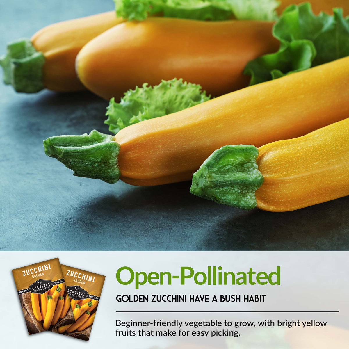 Golden Zucchini seeds are open pollinated