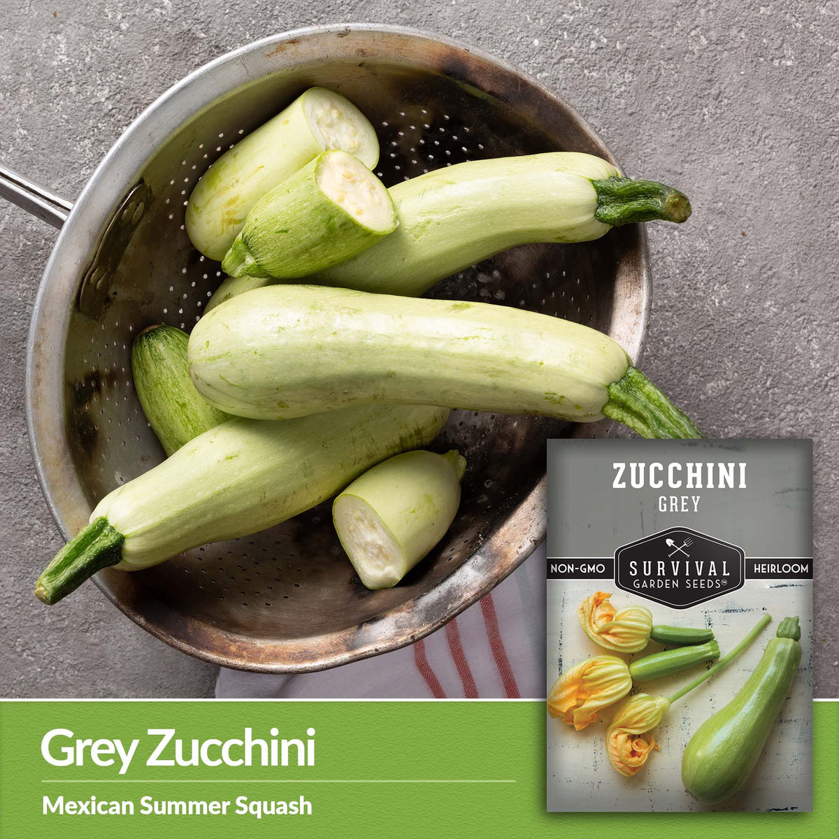 Grey Zucchini also known as Mexican Summer Squash