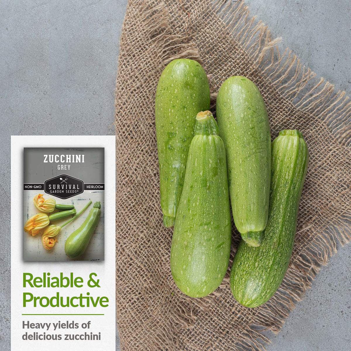 Grey Zucchini is reliable and productive