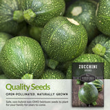 Round Zucchini Seed