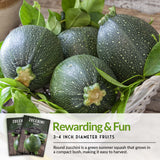 Round Zucchini Seed