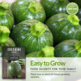 Round Zucchini Seed