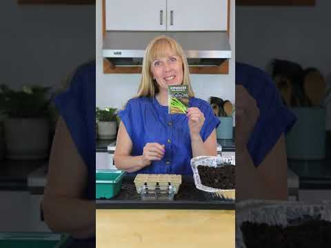 Video about starting asparagus from seed